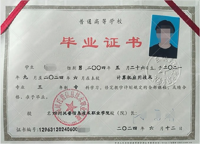 成都四川托普信息技术职业学院毕业证样本图片